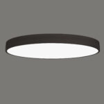 Isia PRO Ceiling lamp/100cm LED 4000K Black