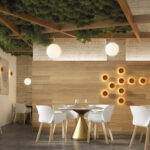 Chamaleon Disk Moss Orange